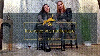 Intensive Aromatherapie